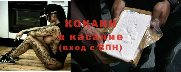 ПСИЛОЦИБИНОВЫЕ ГРИБЫ Гусь-Хрустальный