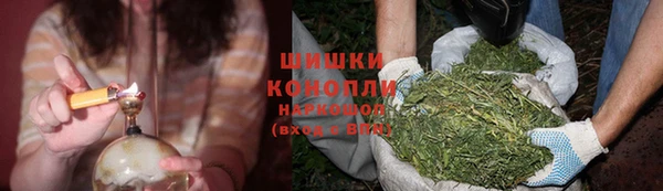 ПСИЛОЦИБИНОВЫЕ ГРИБЫ Гусь-Хрустальный