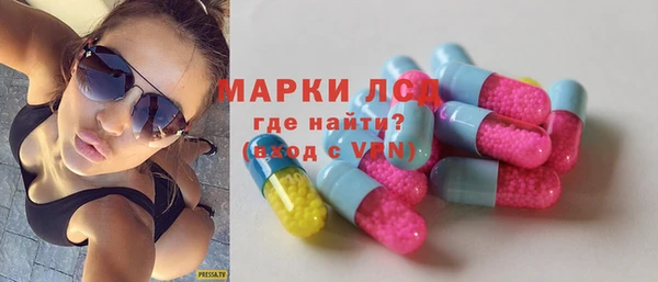 гидра Гусев