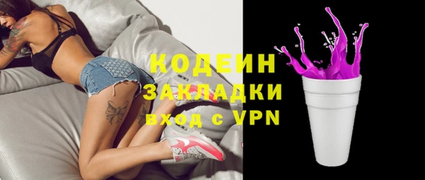 гидра Гусев
