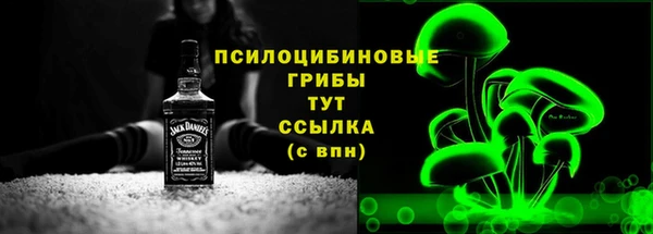 гидра Гусев