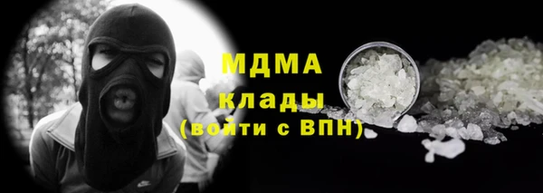 гидра Гусев