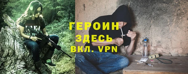 гидра Гусев