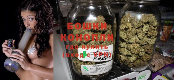 гидра Гусев