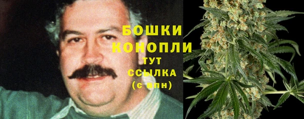 mix Гусиноозёрск
